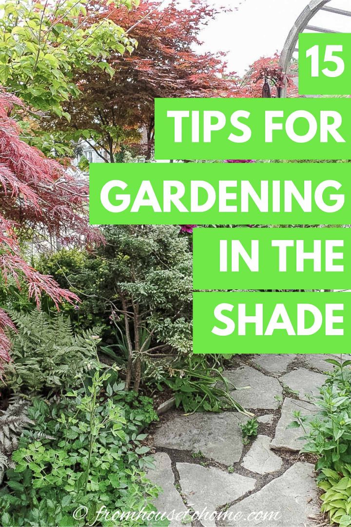 15 tips for gardening in a shade garden