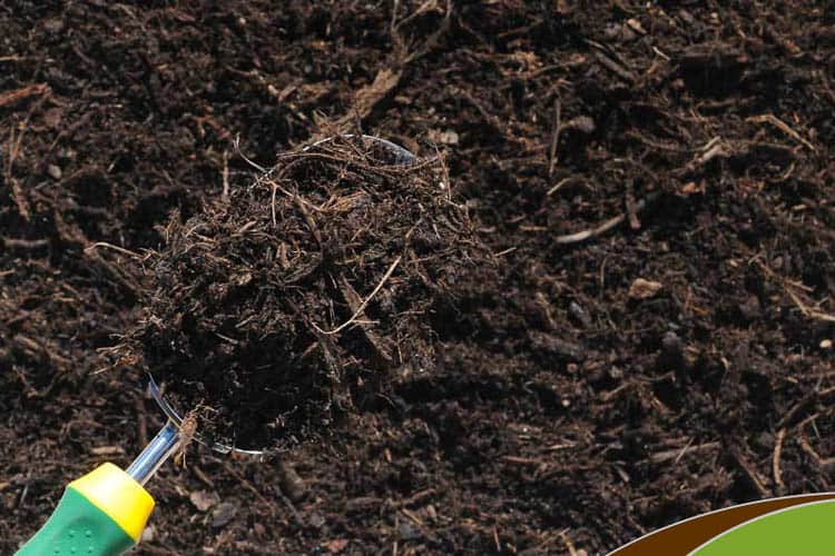Mulching your garden helps keep moisture in the soil | 10 Tips for creating a low maintenance garden