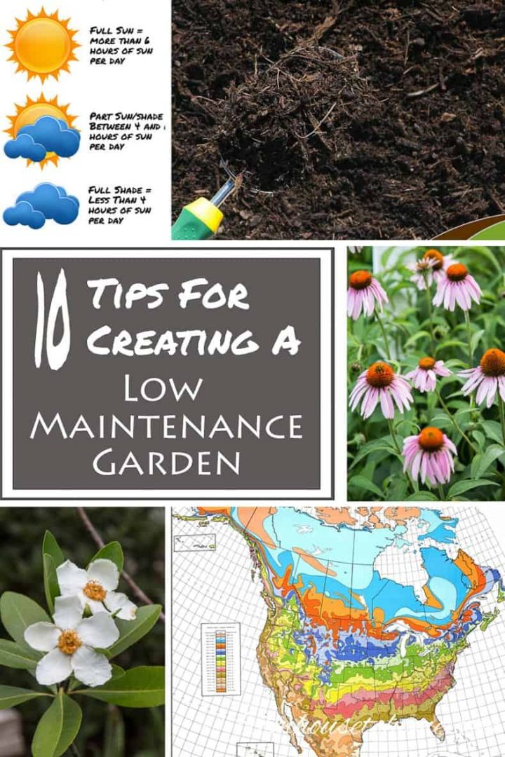 10 Tips for creating a low maintenance garden