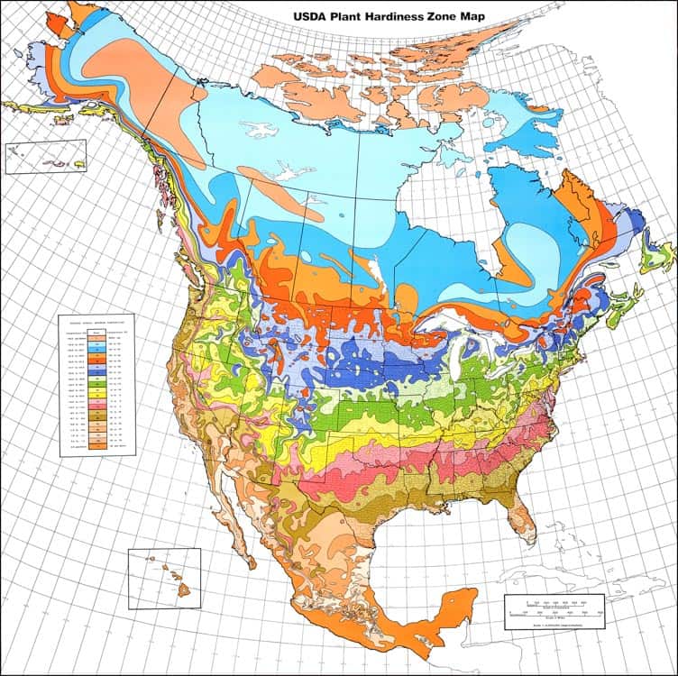 USDA Plant Hardiness Zone Map | 10 Tips For Creating A Low Maintenance Garden