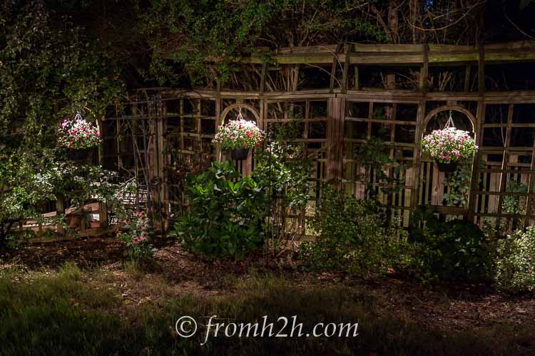 Downlighting on hanging baskets makes them glow at night | How To Design And Install Landscape Lighting