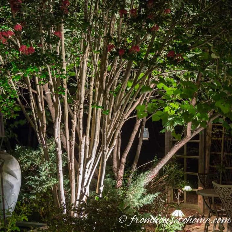 Landscape Lighting Effects: 8 Dramatic Outdoor Lighting Ideas You Must Try In Your Garden