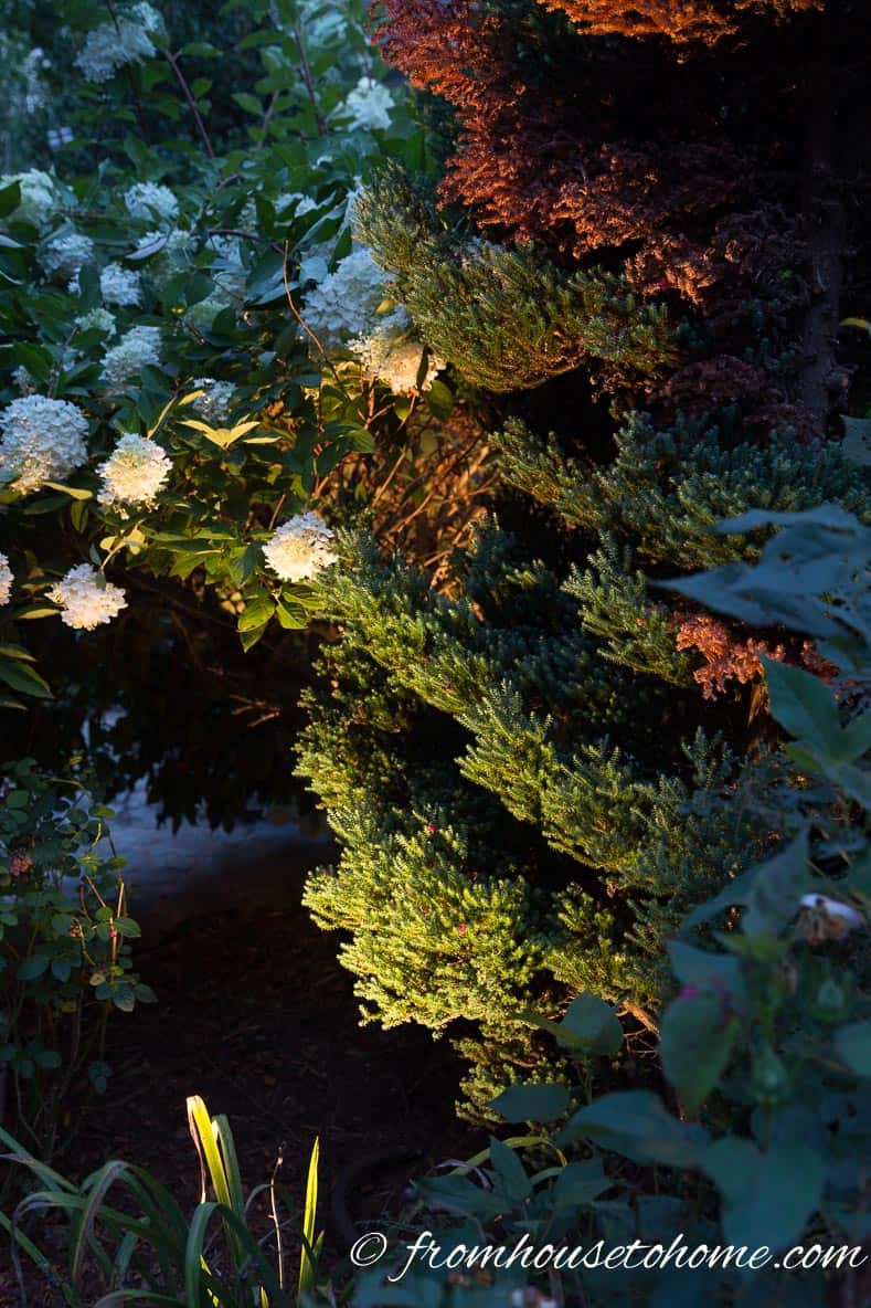 Grazing an evergreen shows off its texture | 8 Landscape Lighting Effects And How To Use Them | Whether you're looking for DIY landscape lighting ideas for your front yard, backyard or walkway, this list will help! It shows you lots of ways to use both low voltage and solar lights in your garden or patio.