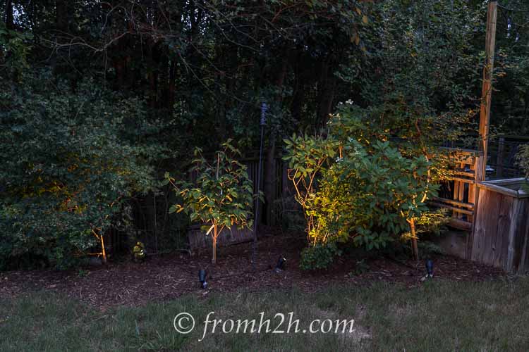 Fill in gaps with some lighting | How To Design And Install Landscape Lighting