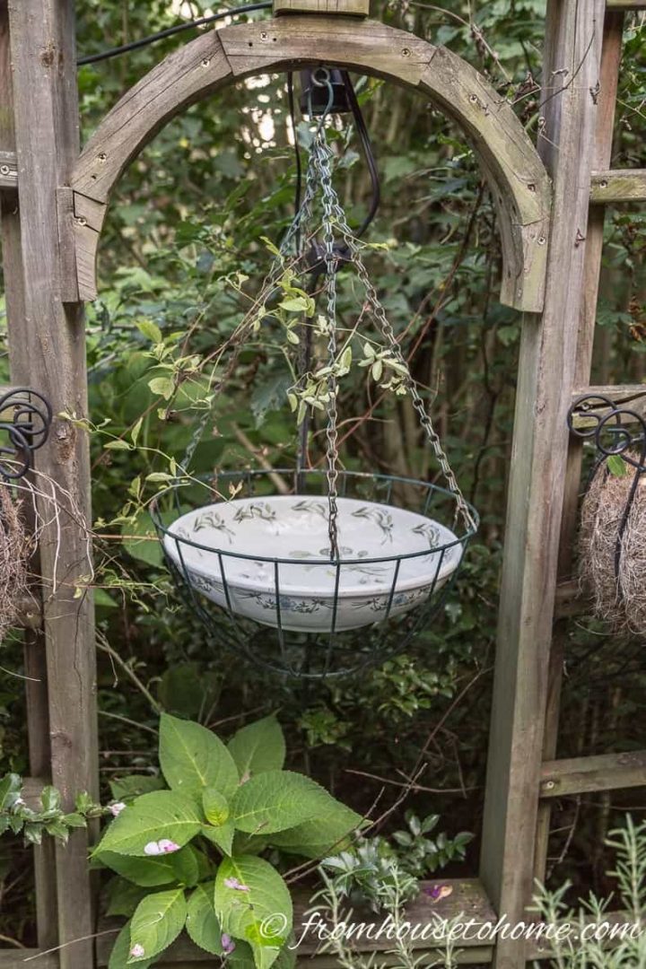 Make a bird bath from a bowl and a hanging basket