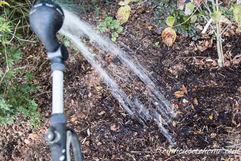 Water after planting the bulbs | How To Plant Fall Bulbs For The Best Spring Flowers