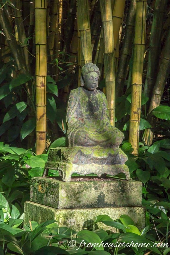 Buddha statue in front of some bamboo at Allerton Gardens in Kauai, HI