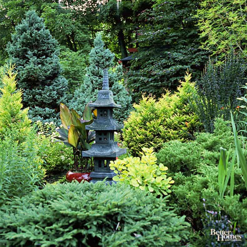 Evergreens in the garden with a Japanese statue