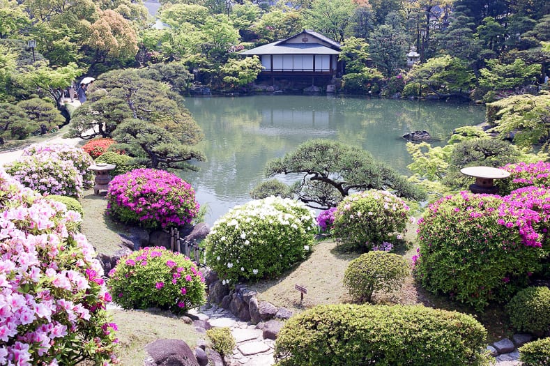 Japanese garden pond and azaleas, via commons.wikimedia.org