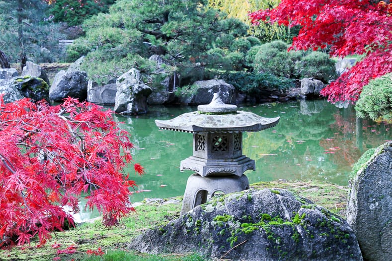Stone lantern in a Japanese Garden