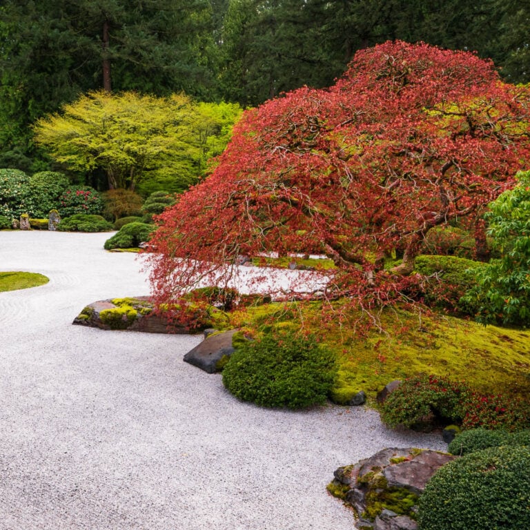 How To Make a Japanese Zen Garden In Your Backyard