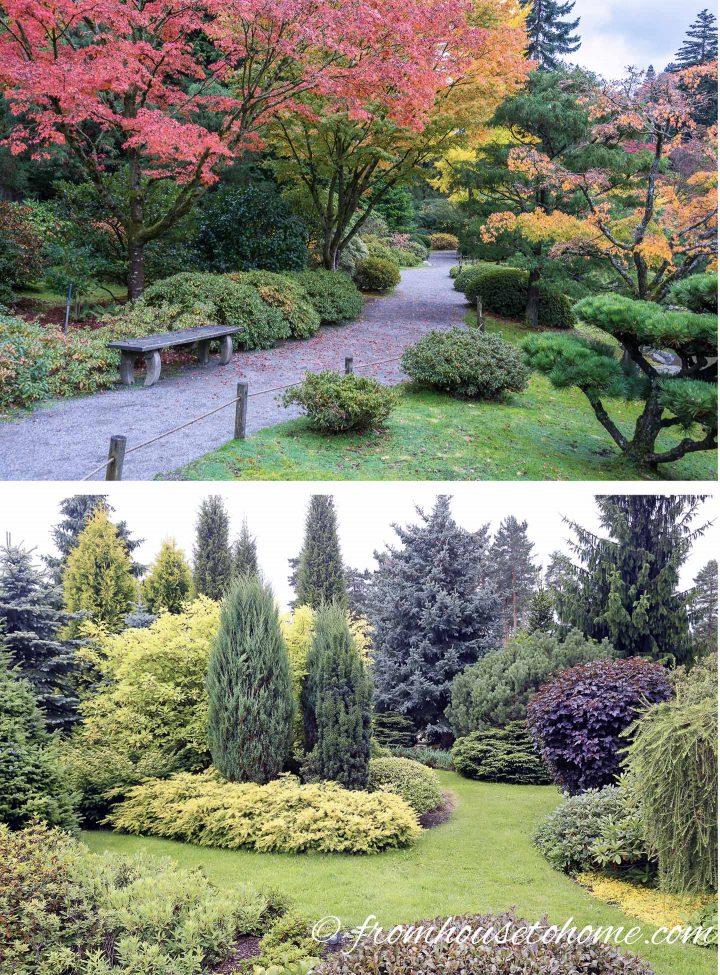 Plan for trees early in your landscape design (images via dplett and ronstik / stock.adobe.com)