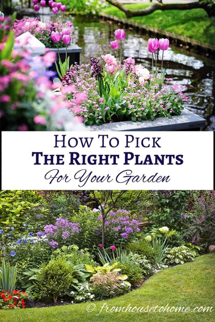 How To Choose The Best Plants For Your Garden Gardener S Oasis - Best Outdoor Plants For Landscaping