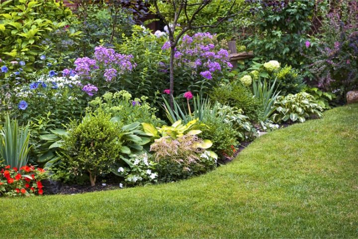 Best Plants For Your Garden, Year Round Landscaping Plants