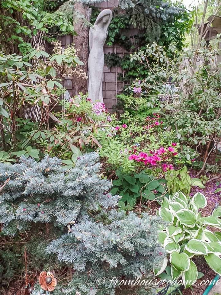 Evergreens in a garden bed with a statue