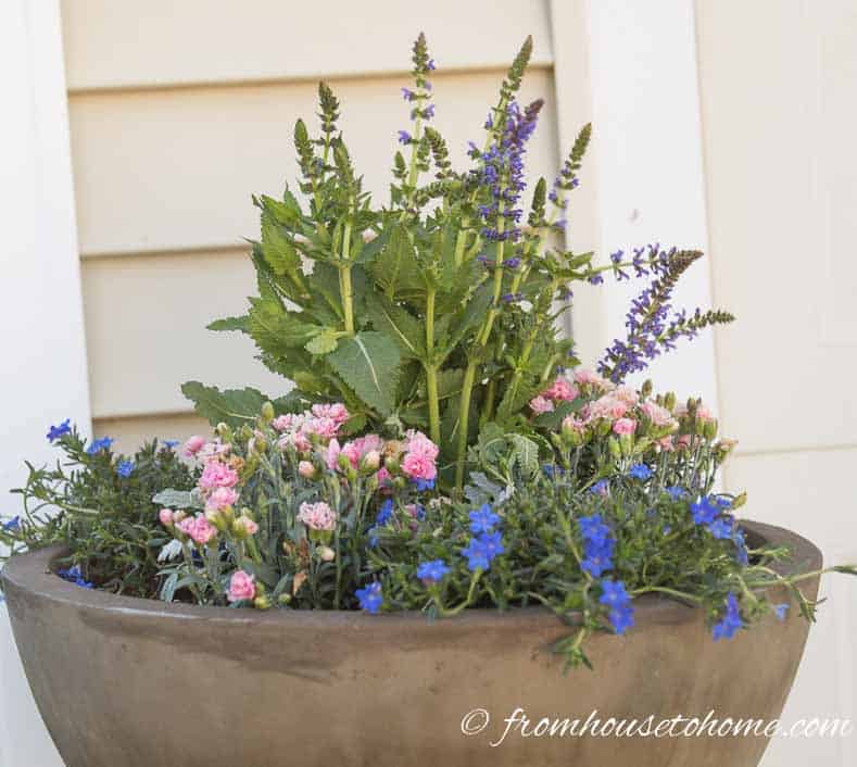 The No-Fail Method for Planting Beautiful Containers | I use this formula to plant all of my outdoor containers. It never fails to produce beautiful planters that are easy to create.