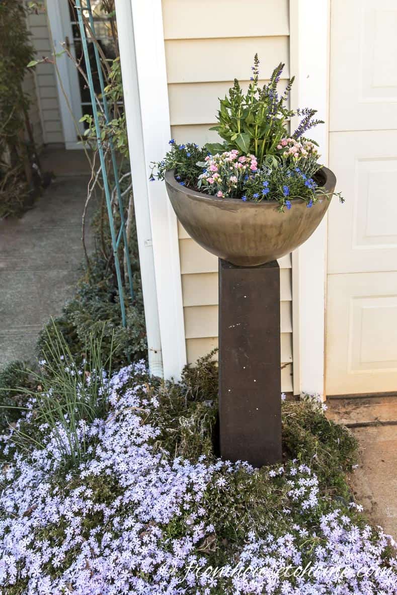 Move the planter into place before watering | The No-Fail Method for Planting Beautiful Containers | I use this formula to plant all of my outdoor containers. It never fails to produce beautiful planters that are easy to create.