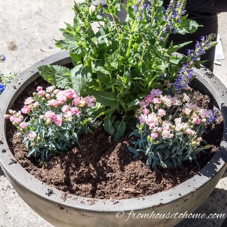 Add fillers | The No-Fail Method for Planting Beautiful Containers | I use this formula to plant all of my outdoor containers. It never fails to produce beautiful planters that are easy to create.