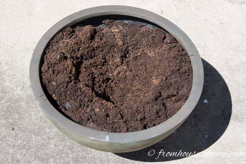 Fill the container almost full of potting soil | The No-Fail Method for Planting Beautiful Containers | I use this formula to plant all of my outdoor containers. It never fails to produce beautiful planters that are easy to create.