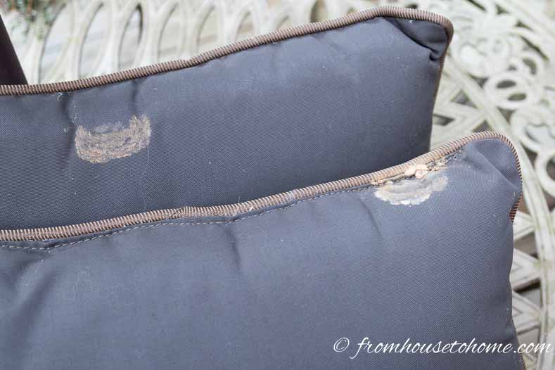 Mud wasp nest stains on outdoor cushions