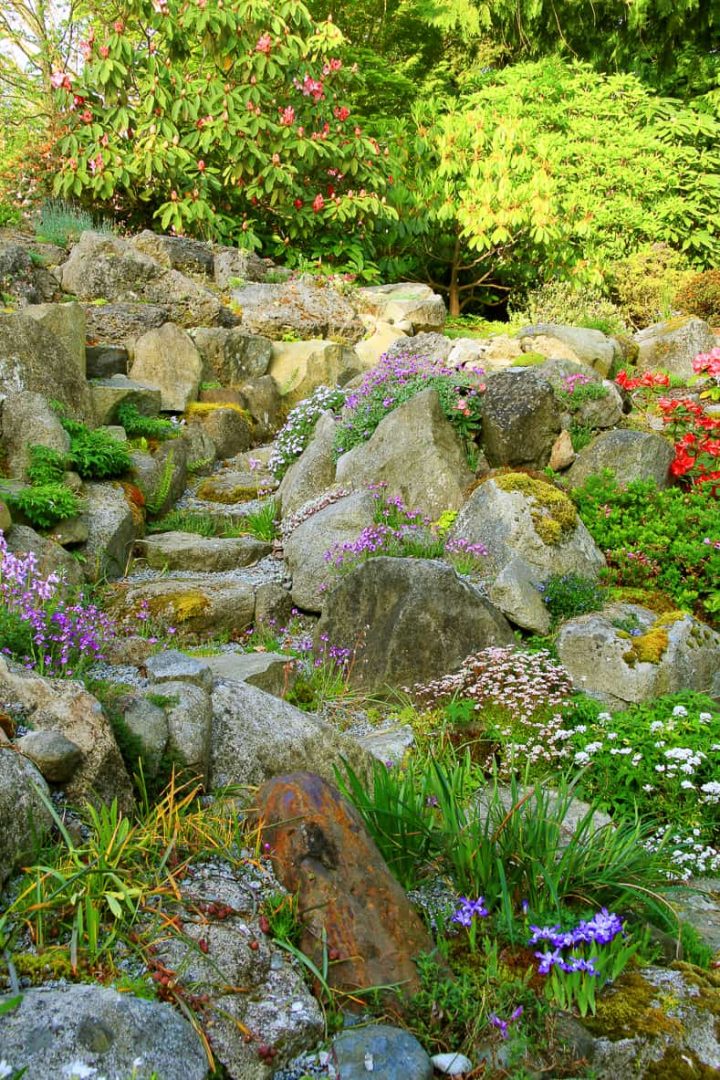 A wide rock garden at the edge of the yard