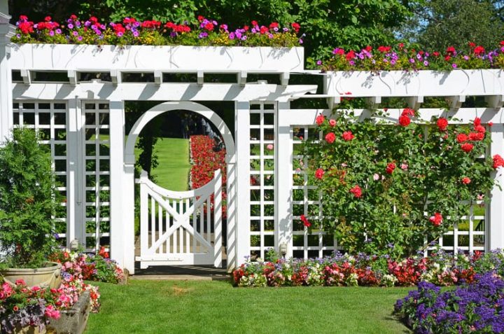 Tall white fence with planters on top