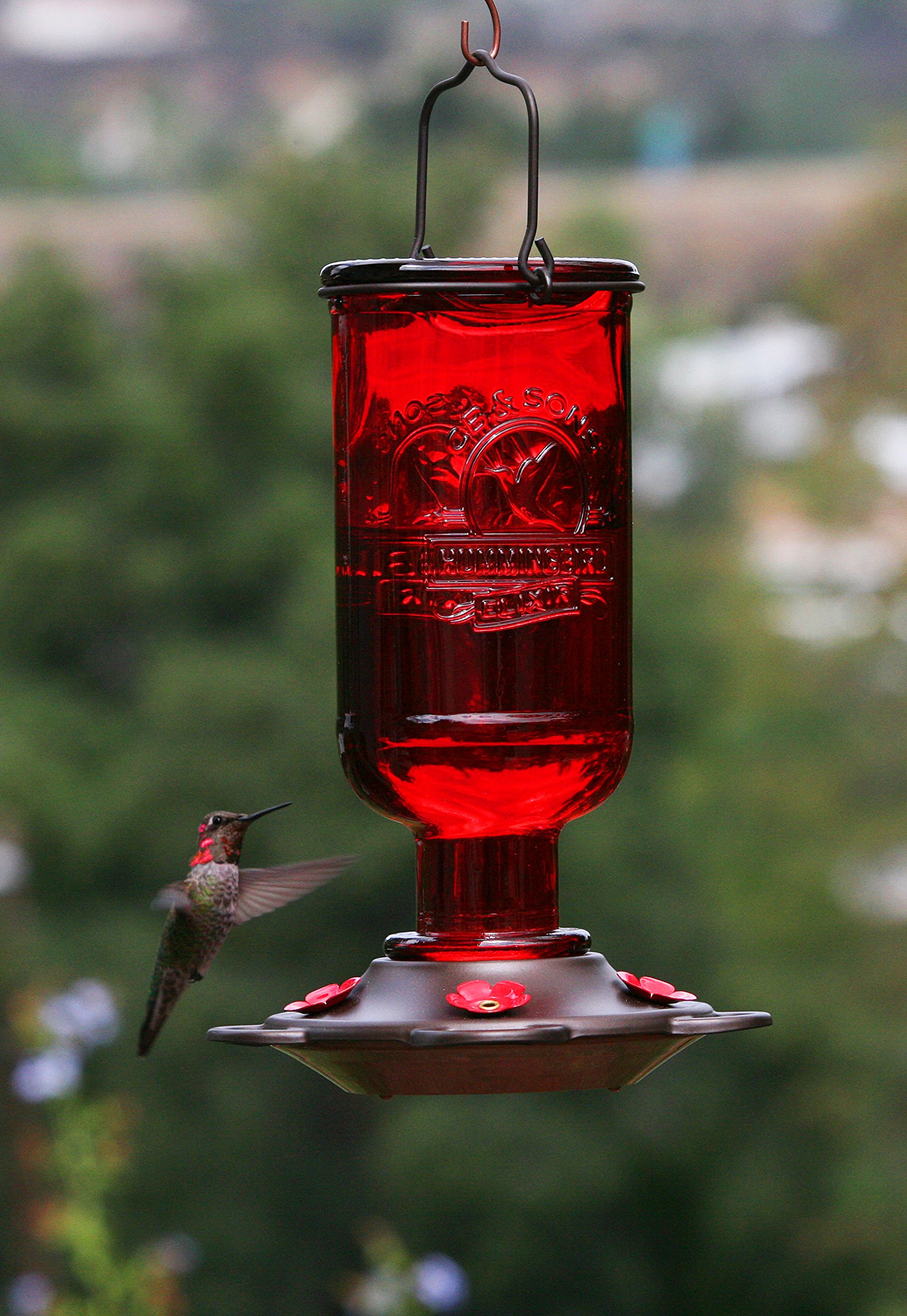 Red hummingbird feeder