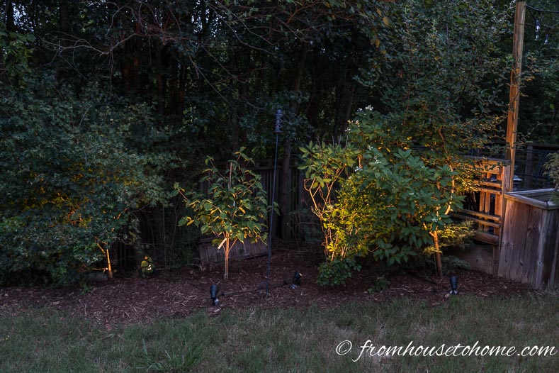 Uplighting trees and bushes