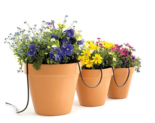 Automated watering system for window boxes
