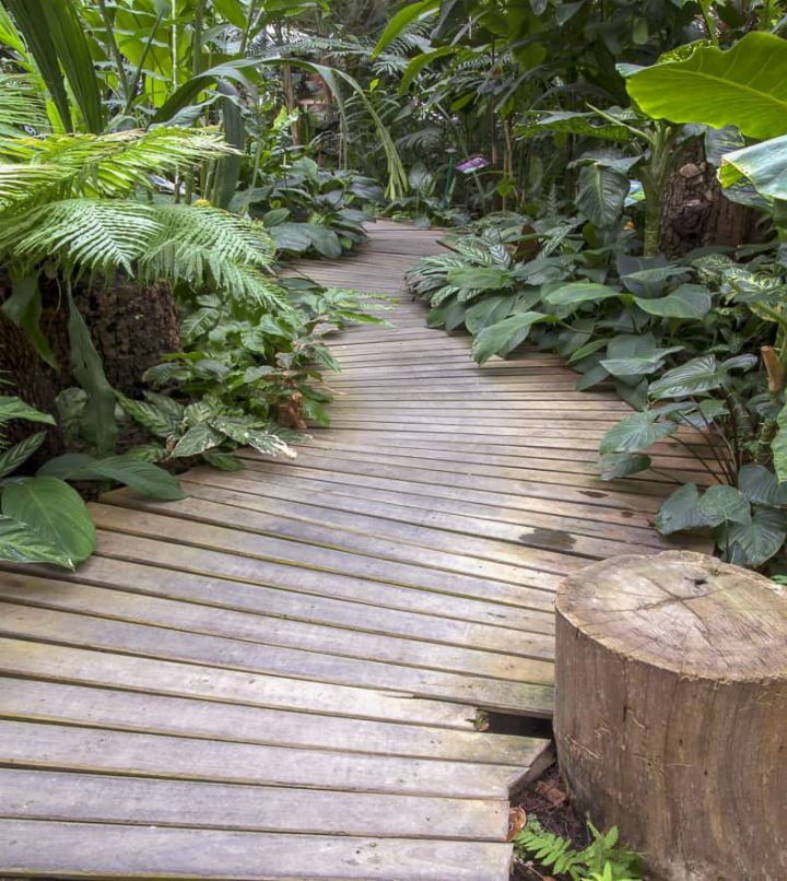 Wood garden path