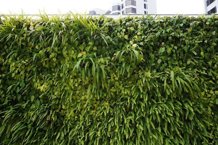 Living wall privacy screen