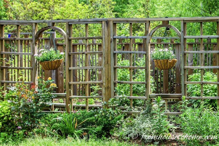 Lattice privacy fence with hanging planters