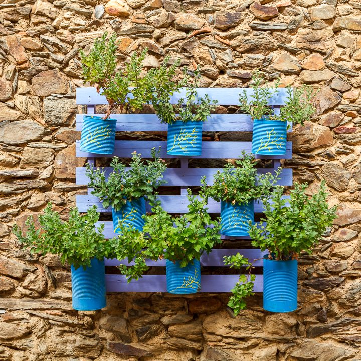 Painted vertical pallet garden ©Gelpi - stock.adobe.com