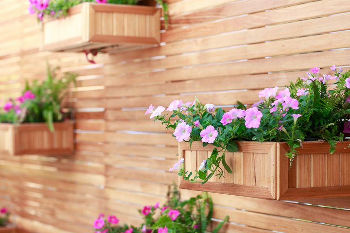 Wood window boxes make a vertical garden ©PRASERT - stock.adobe.com