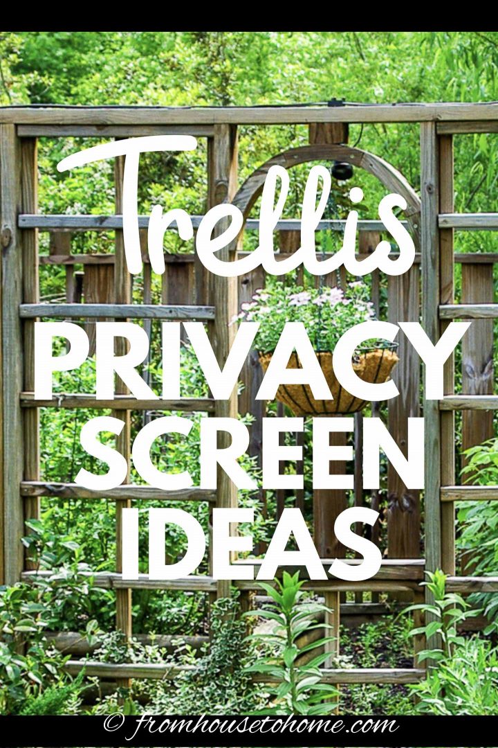 Trellis privacy screen ideas