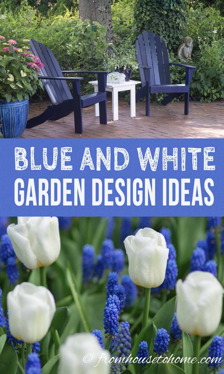 Blue and white garden design ideas