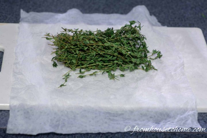 Fresh thyme on a damp paper towel