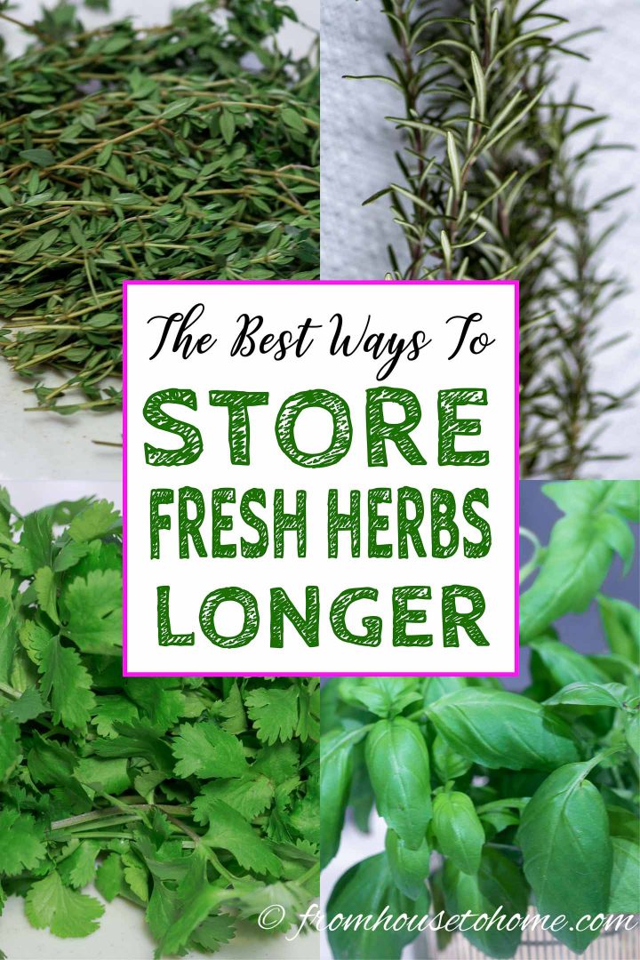 How to store fresh herbs longer