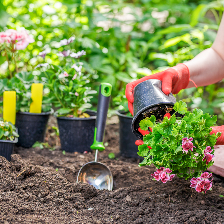Landscaping Mistakes: Avoid These 10 Common Issues For Your Best Garden Ever