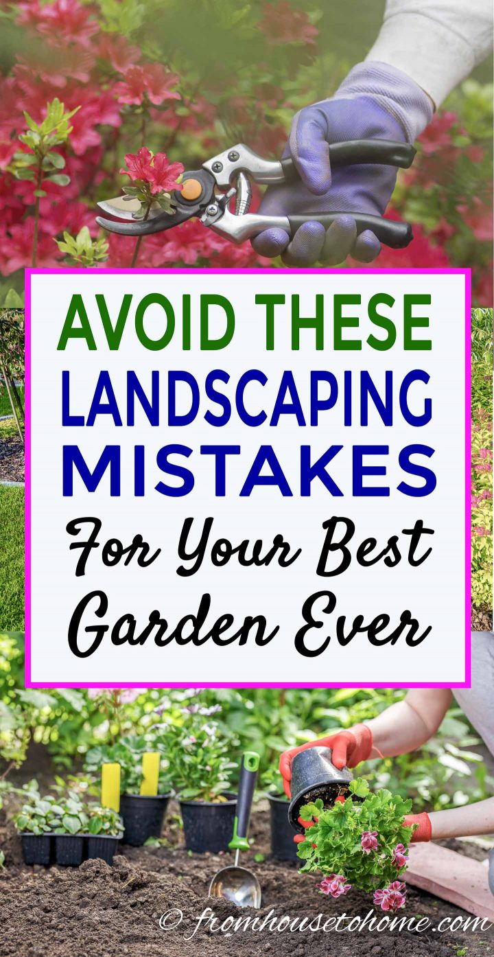 Landscaping Mistakes To Avoid For Your Best Garden Ever