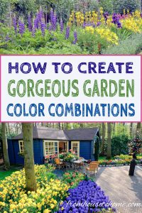 How to create gorgeous garden color combinations