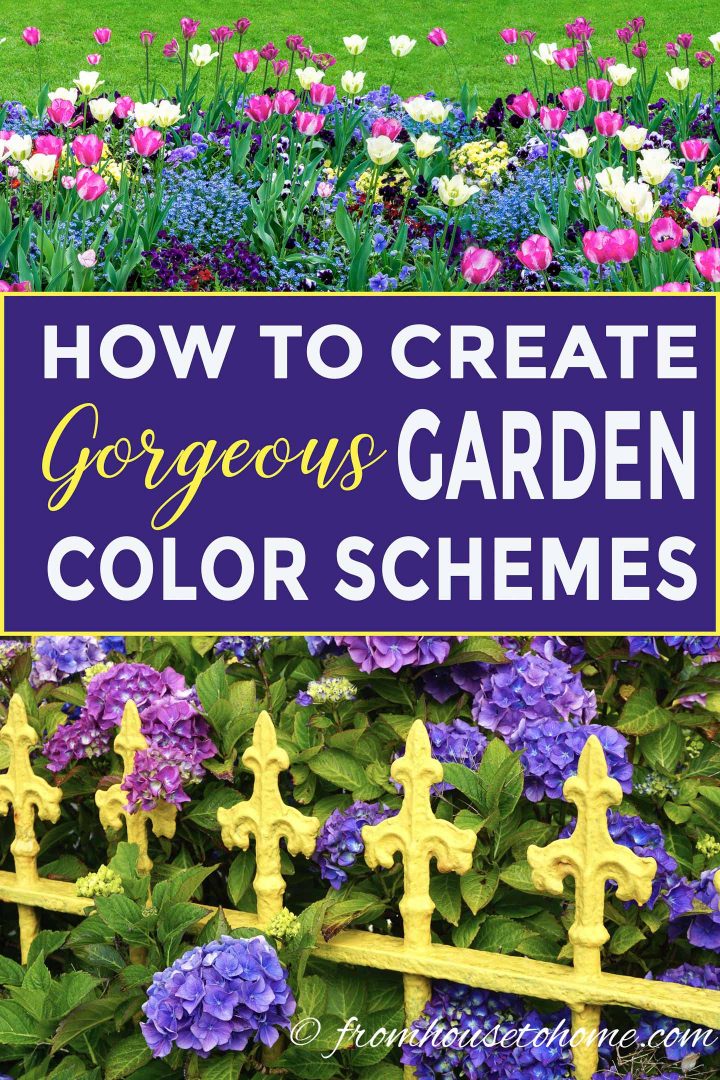 How To Create Gorgeous Garden Color Schemes