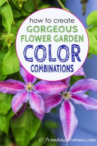 how to create gorgeous flower garden color combinations