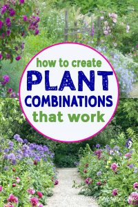 tips for creating plant combinations that work