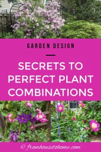 Secrets to perfect plant combinations