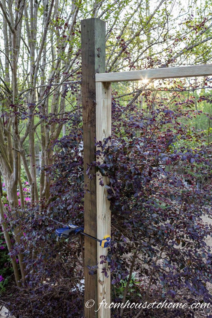 The DIY garden privacy screen frame secured to the post with a clamp