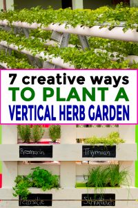 Vertical herb garden ideas