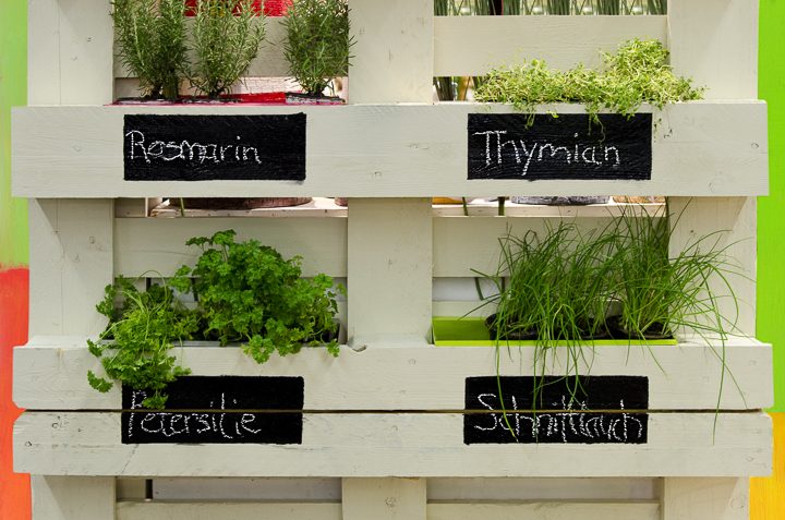 Vertical herb garden pallet with chalkboard plant labels ©Tatjana Balzer - stock.adobe.com