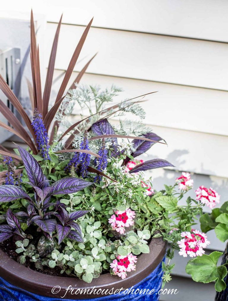 July 4th Containers: Patriotic Red, White and Blue Flower Pot Combinations