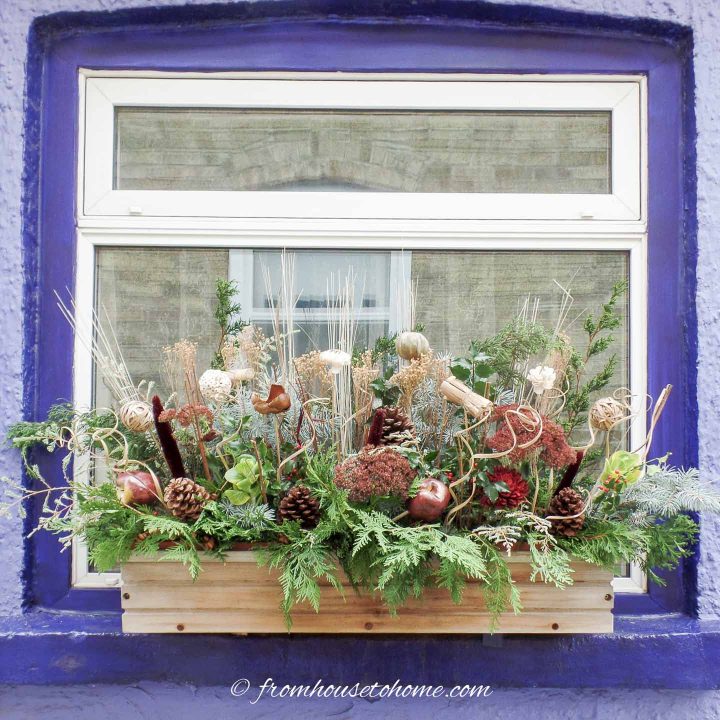 Winter window box made with evergreens, dried flowers, pine cones and apple picks